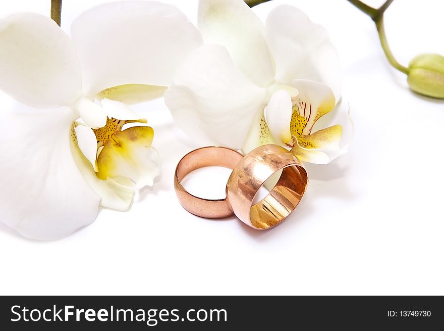 Gold rings with white orchid isolated on white background. Gold rings with white orchid isolated on white background