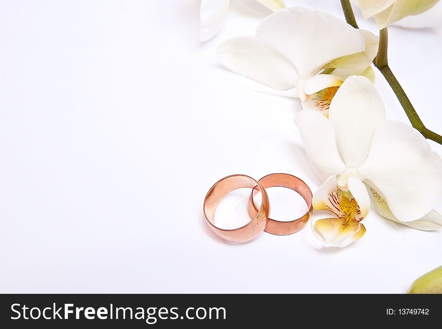 Two rings with orchid on grey background