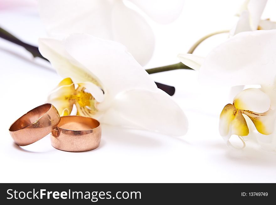 Gold rings with orchid isolated on white background