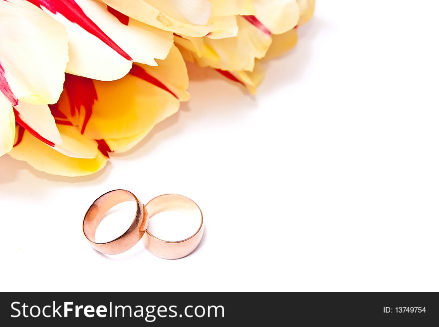 Yellow with red tulips and two wedding rings. On white. Yellow with red tulips and two wedding rings. On white