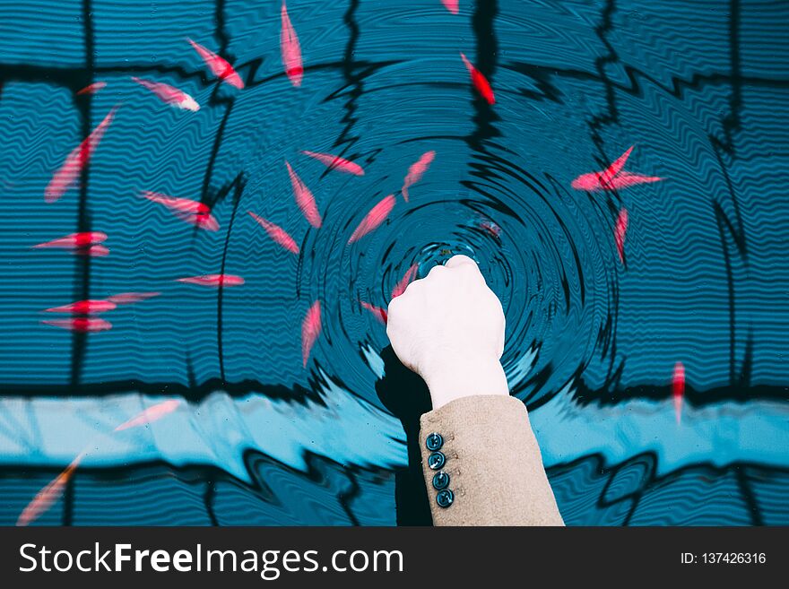 Mans hand dipping in the waterRed fish swimming in the water on the surface reflecting lines texture structure background