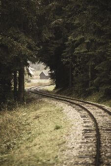 Wavy Log Railway Tracks In Wet Green Forest With Fresh Meadows - Vintage Retro Look Stock Photos