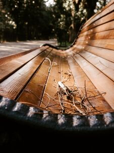 Closeup Of The Autumn Bench Royalty Free Stock Image Closeup Of The Autumn Bench Royalty Free Stock Image