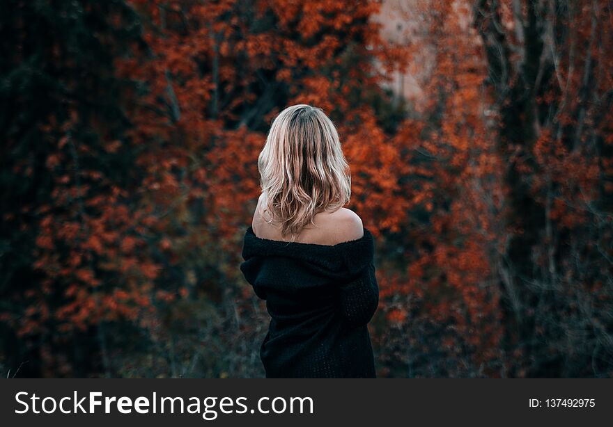 Beatiful blond woman dramatic portrait in the wood in autumn time