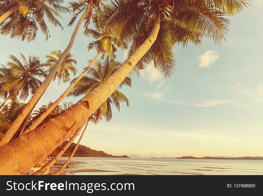 Beautiful tropical Pacific Ocean coast in Costa Rica