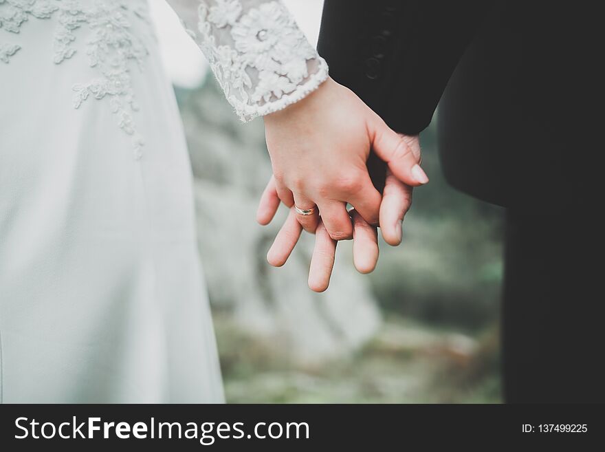 Wedding couple bride and groom holding hands.