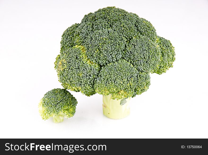 Broccoli trees on white background - small one and big one
