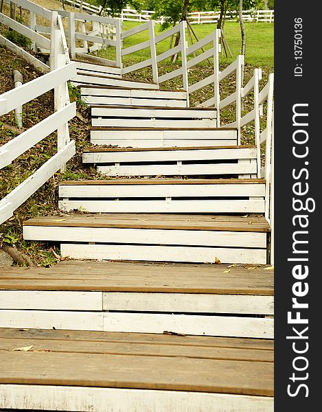 White wooden stairs in the park