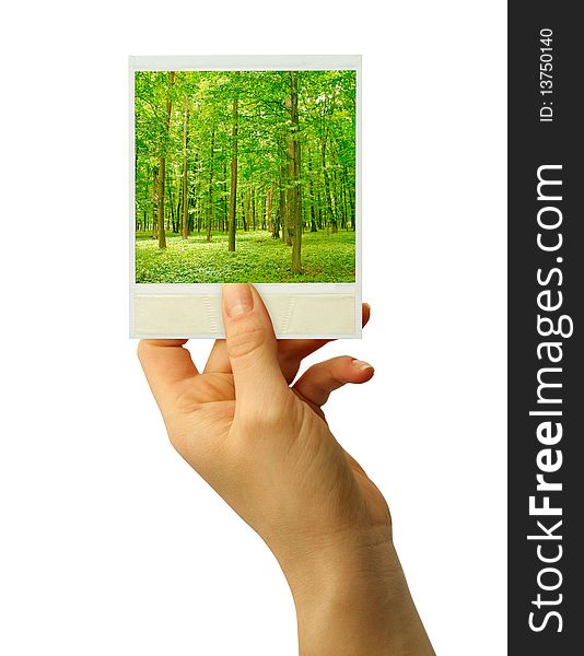 A photo card blank in a hand