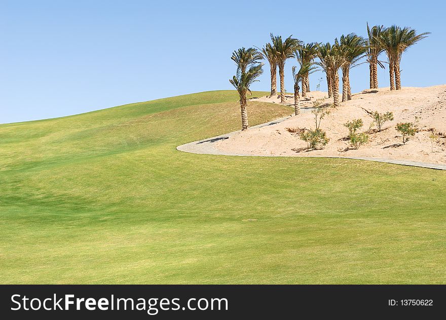 Egypt golf field in the summer time