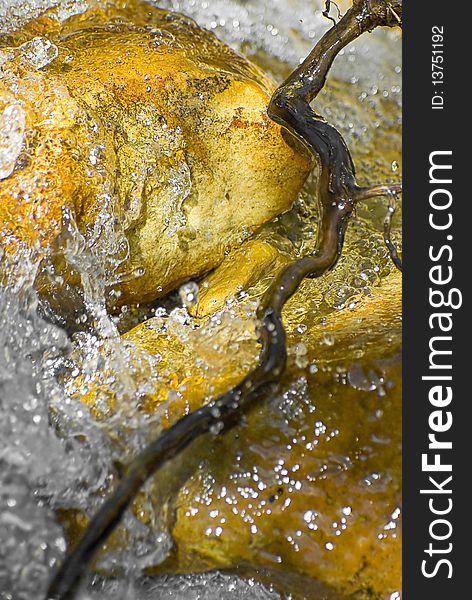 Stream water splashing over root
