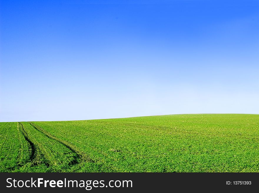 Green field and blue sky conceptual image.