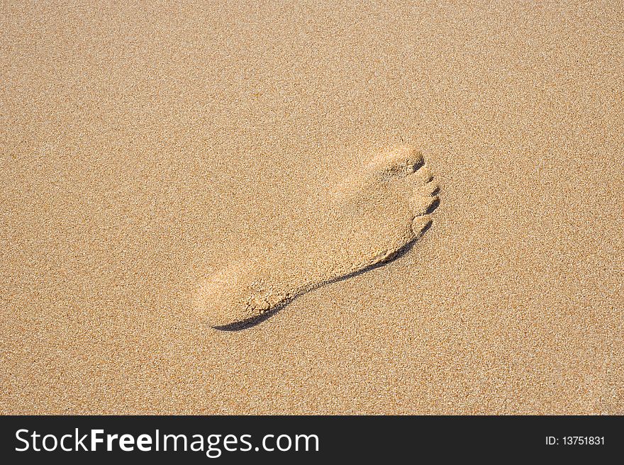 A single footprint on a sandy beach to create a travel background. A single footprint on a sandy beach to create a travel background