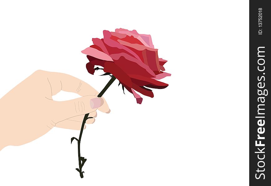 Hand With Red Rose