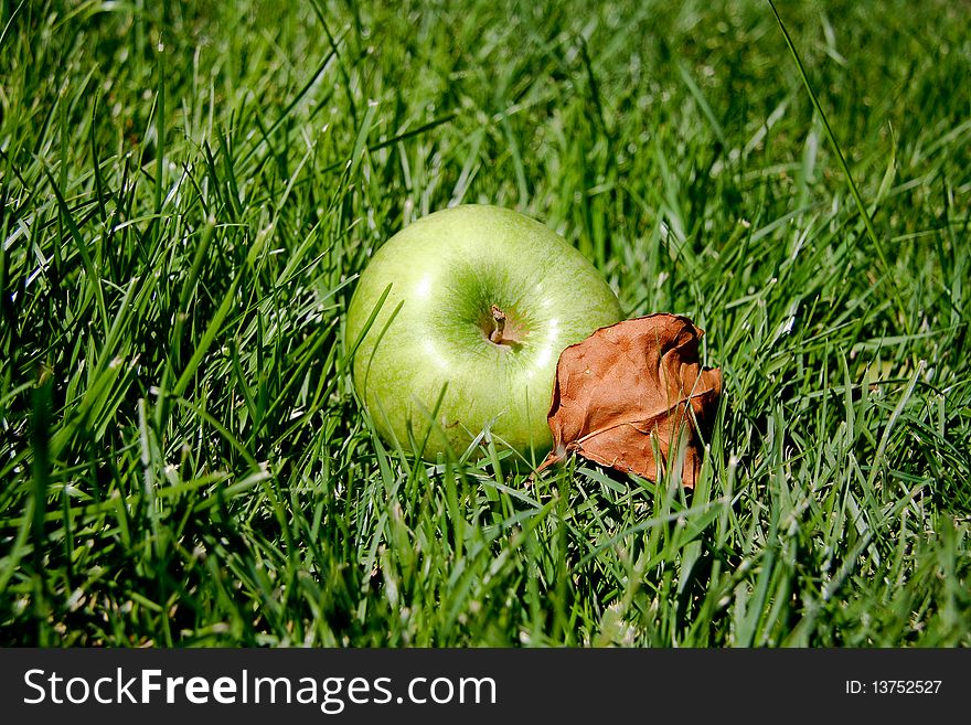 Green apple and leaf on grass. Green apple and leaf on grass