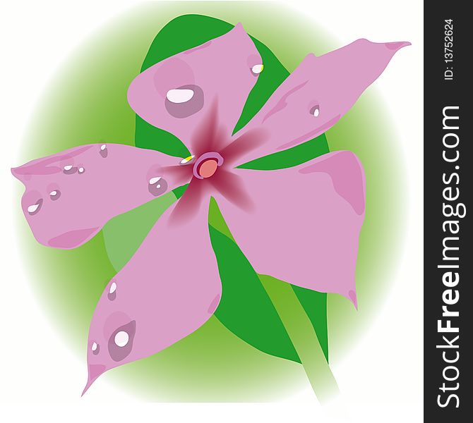 It's Flover. Created in Illustrator(with vector). It's Flover. Created in Illustrator(with vector)