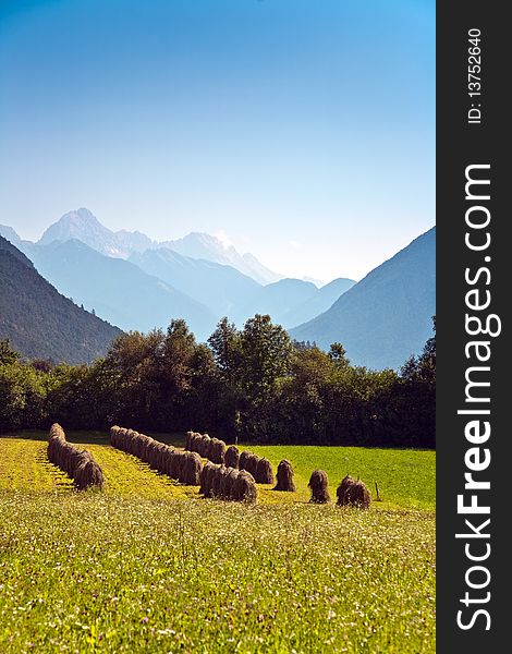 Beautiful landscape in the tirolean Alps, good smelling grass and wonderful mountains