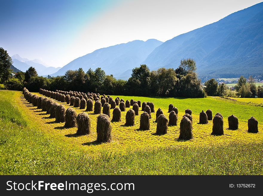 Beautiful landscape in the tirolean Alps, good smelling grass and wonderful mountains