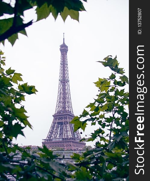 Eiffel Tower in Paris among the spring foliage