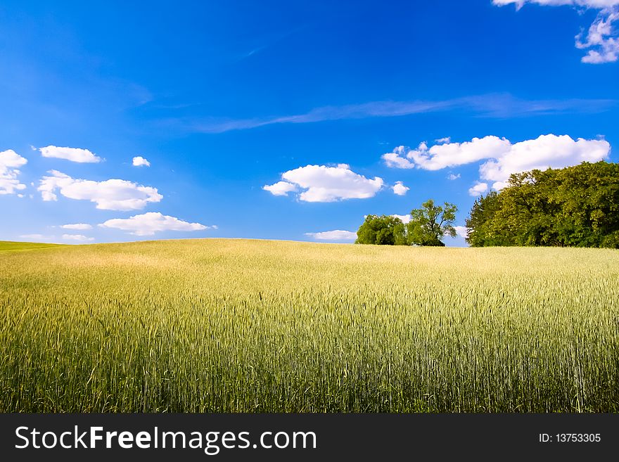 Rural fields landscape with clouds. Rural fields landscape with clouds