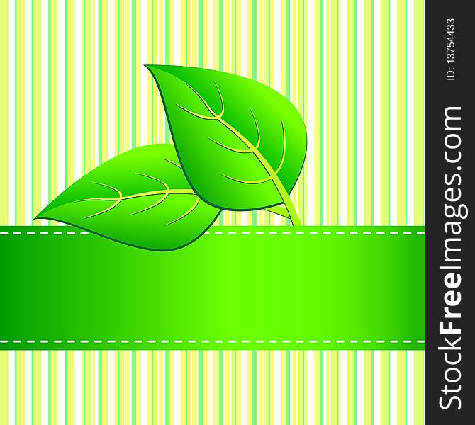 Green eco card.Vector illustration.