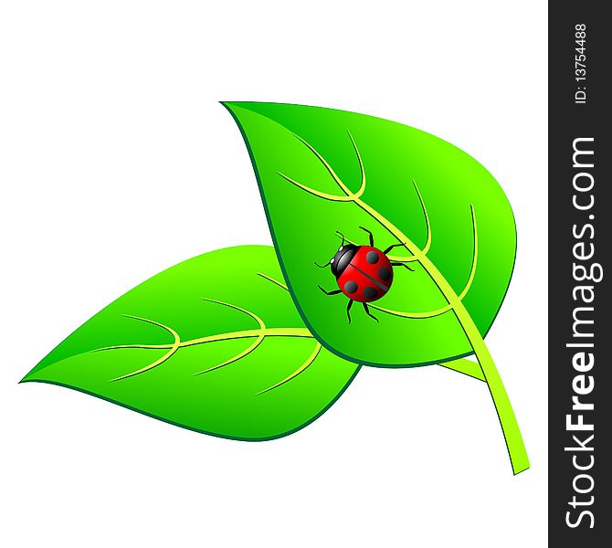 Ladybird On A Green Leaf