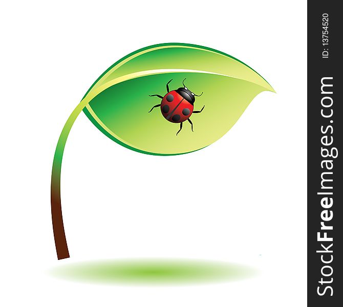 Green leaf with ladybug. Vector