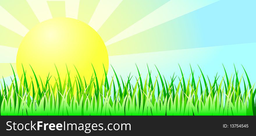 Light Sunny Daytime Background with Green Grass
