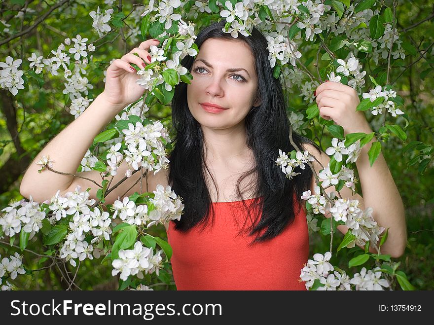 Young Woman In Flowers