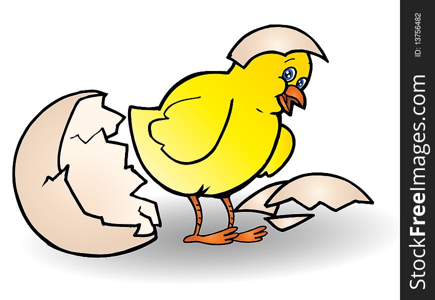 Yellow cute Chick hatching from an egg; illustration