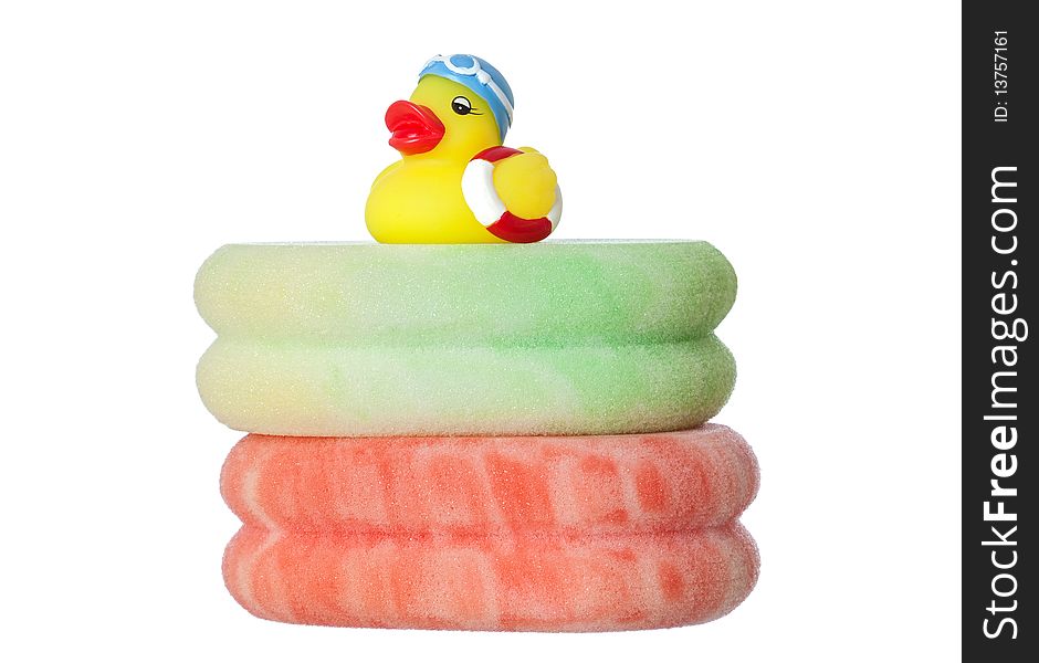 Swimming duck over sponges isolated on a over white background