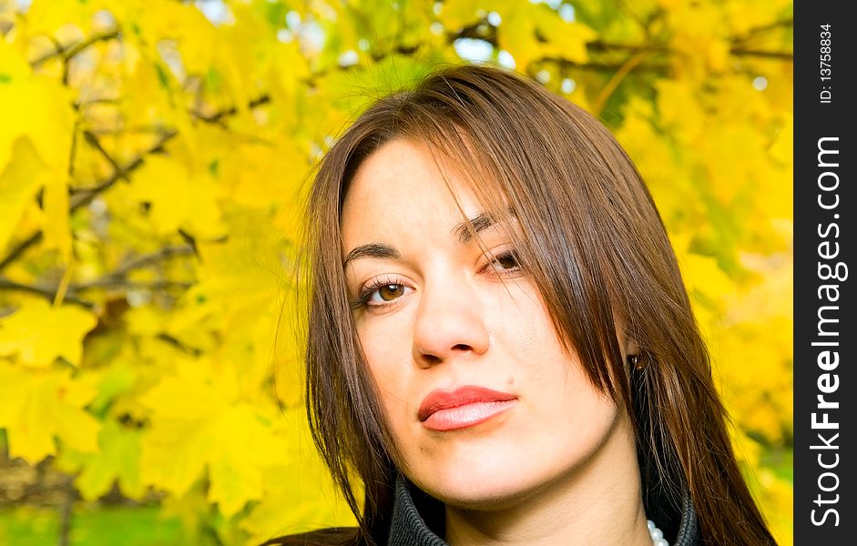 Portrait of young woman in autumn park. Portrait of young woman in autumn park