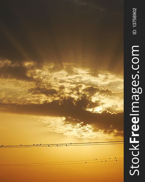 Birds sitting on telephone wires, on the background of the sunset sky. Birds sitting on telephone wires, on the background of the sunset sky.