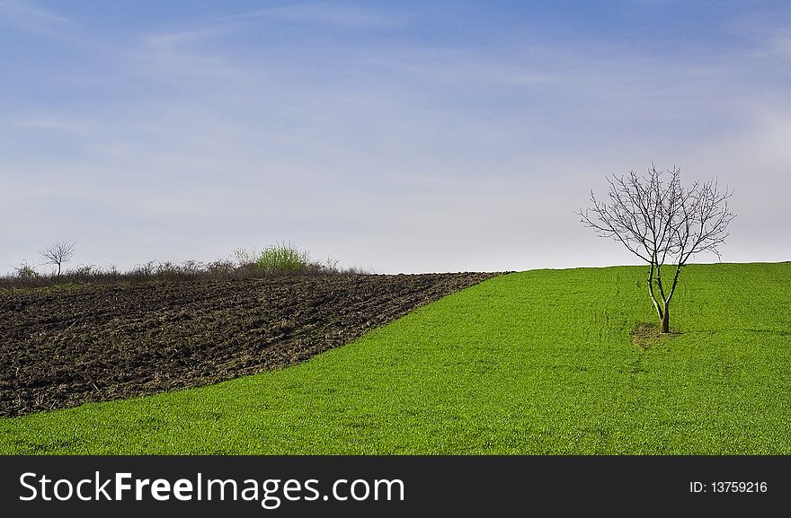 Green field, Photo taken in Romania