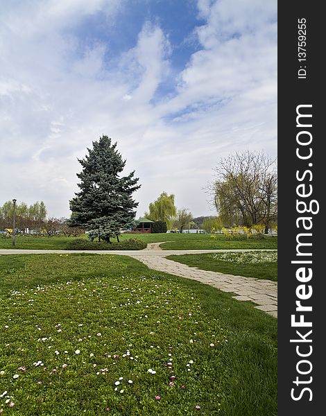 Spring in the park, photo taken in a Romanian Park