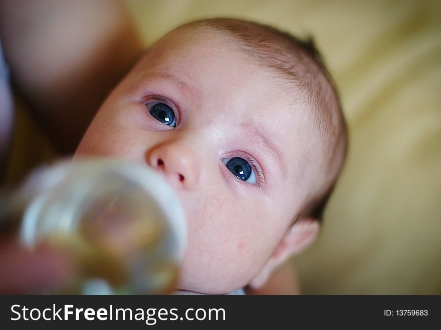 Little baby blue eyes drinking tea