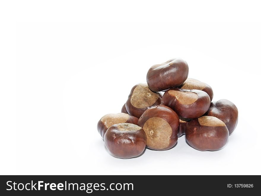 Nut Of A Chestnut