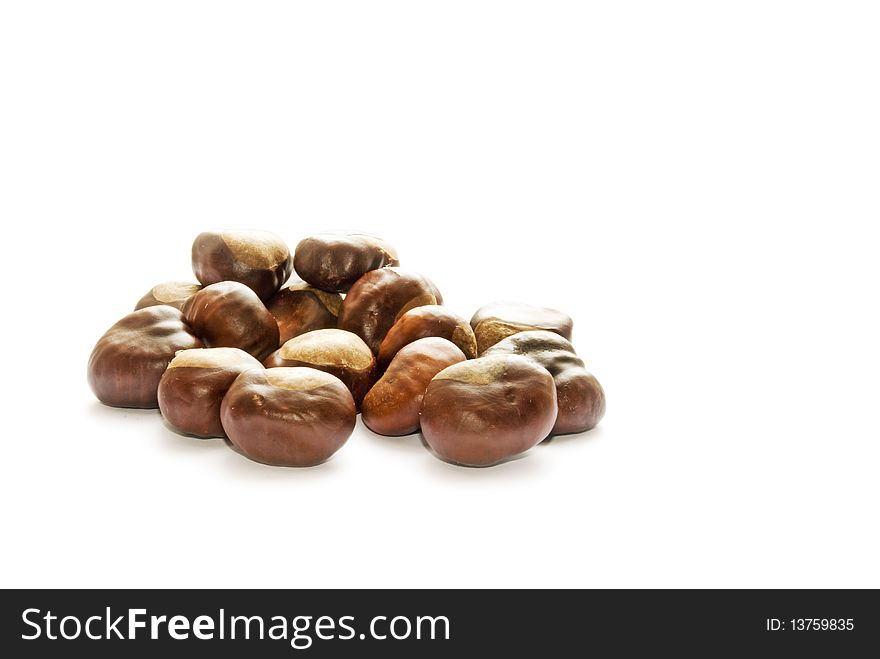 Nut of a chestnut on a white background