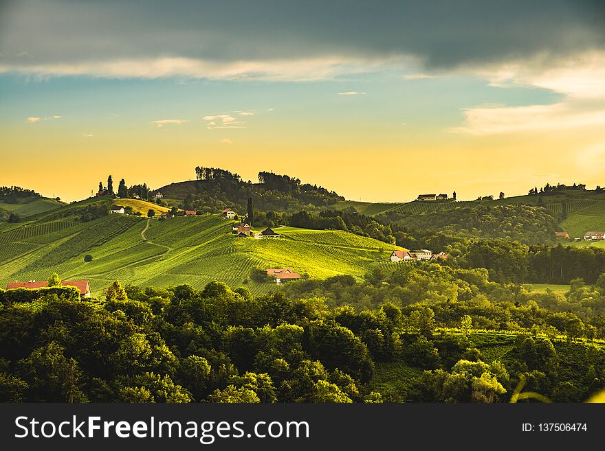 Austria, Slovenia Vineyards Sulztal Area South Styria , Wine Country Path To Heart Shaped Street Tourist Spot