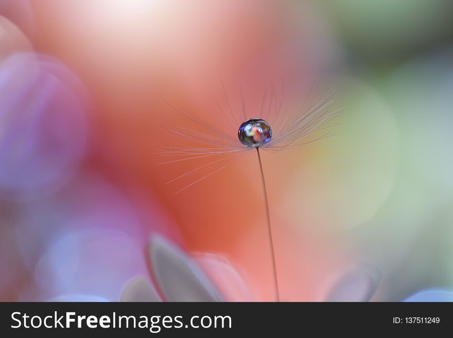 Beautiful spring nature.Beautiful blurred orange nature background,banner for website,garden concept.Colorful,colors.Macro.