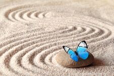 A Blue Vivid Butterfly On A Zen Stone With Circle Patterns In The Grain Sand Stock Image