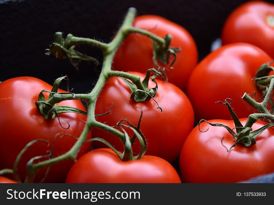 Close-up of a bunch of tomatoes on dark background. Close-up of a bunch of tomatoes on dark background