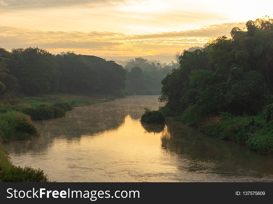 landscape view of forest river trees with cloudy and sunlight in the morning n