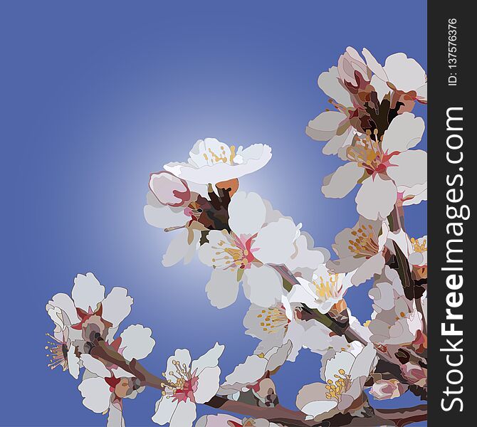 Branch of a flowering almonds on a background sky