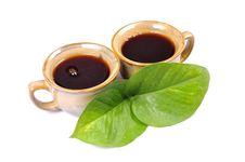 Black Tea Royalty Free Stock Photos Black Tea Royalty Free Stock Photos
