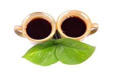 Black Tea Stock Photography Black Tea Stock Photography
