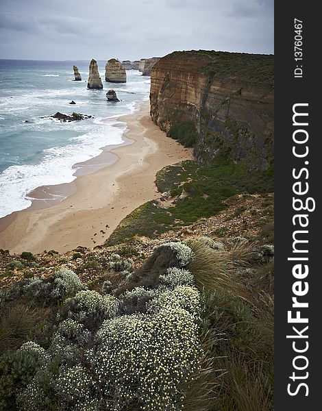 Twelve apostles on the Great ocean road in Australia with flowers and bushes