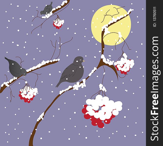 Winter scene with birds and moon