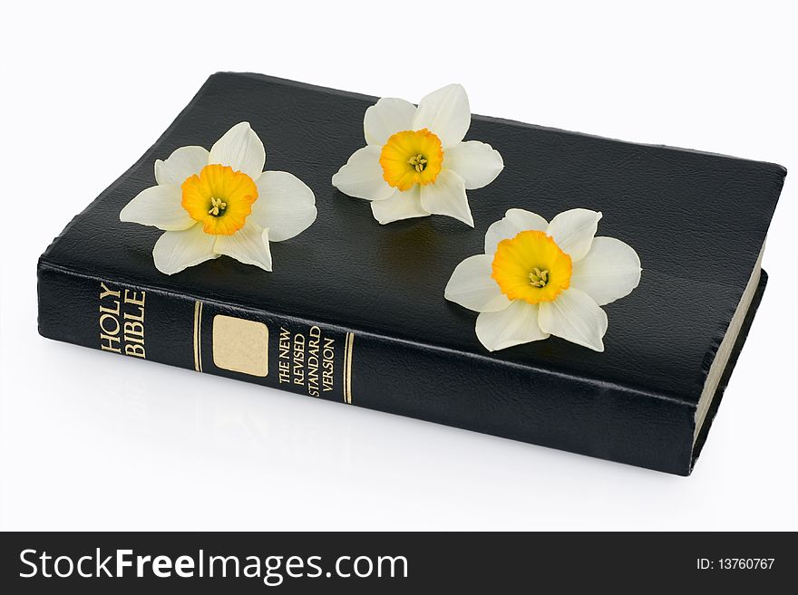 Holy bible and narcissus, isolated on white background