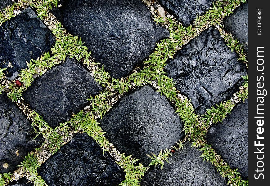 Close up cobble road with grass growing between cobbles
